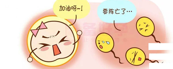男性不育